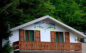 IL RIFUGIO DI GASTONE - Monte Amiata - Macinaie -